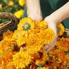 image:imageWeleda Calendula Baby Face Cream 17 Fz