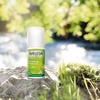 image:imageWeleda 24 Hour RollOn Deodorant CitrusYellow 17 Fluid Ounce17 Fl Oz Pack of 2