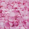 image:imageWeleda Pampering Wild Rose Body Lotion Plant Rich Moisturizer with Wild Rose Oil Jojoba Oil and Shea Butter 68 Fl Oz Pack of 168 Fl Oz Pack of 2