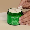 image:imageWeleda Skin Food Body Butter 5 Fluid Ounce Sustainable Glass Jar Plant Rich Hydrating Moisturizer with Shea and Cocoa Butter Sweet Almond Oil and Pansy5 Fl Oz Pack of 1