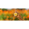 image:imageWELEDA Baby Calendula Multypurpose Balsam 088 oz